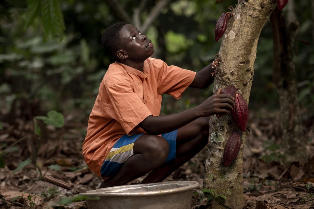 medium-shot-smiley-boy-near-cocoa-beans